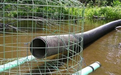 Beaver Pond Leveler