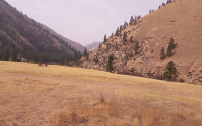 New Webcams & Weather Reports!